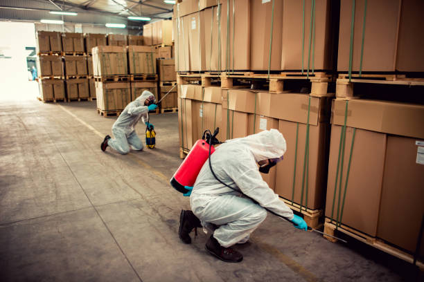 Best Residential Pest Control  in Girard, IL