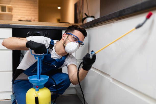 Pest Control for Restaurants in Girard, IL