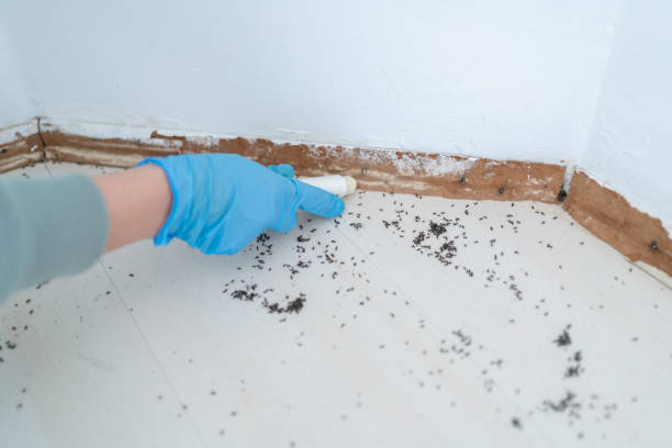Best Pest Inspection Near Me  in Girard, IL